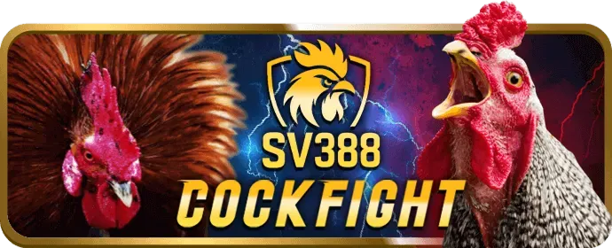 Khuyến mãi đá gà FBC8